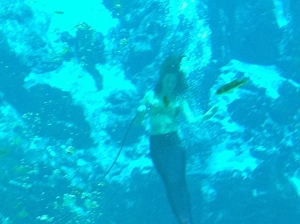 mermaid show at Weeki Wachee